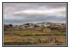 22/IMG_6467 site1.jpg